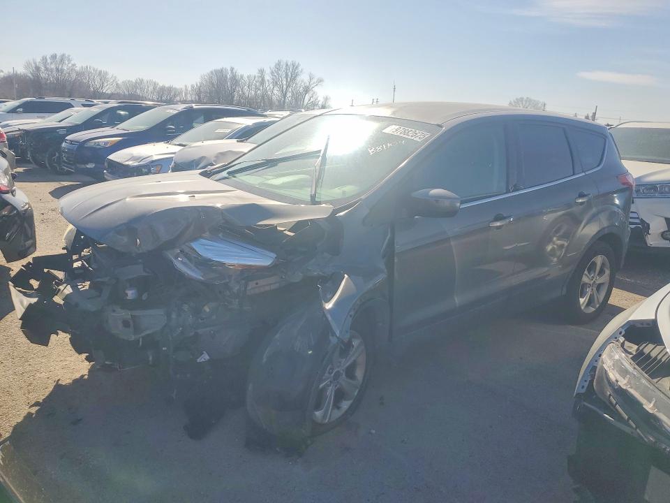 FORD ESCAPE 2014 مع رقم تعريف المركبة 1FMCU9G96EUB81109 - صورة من المزاد