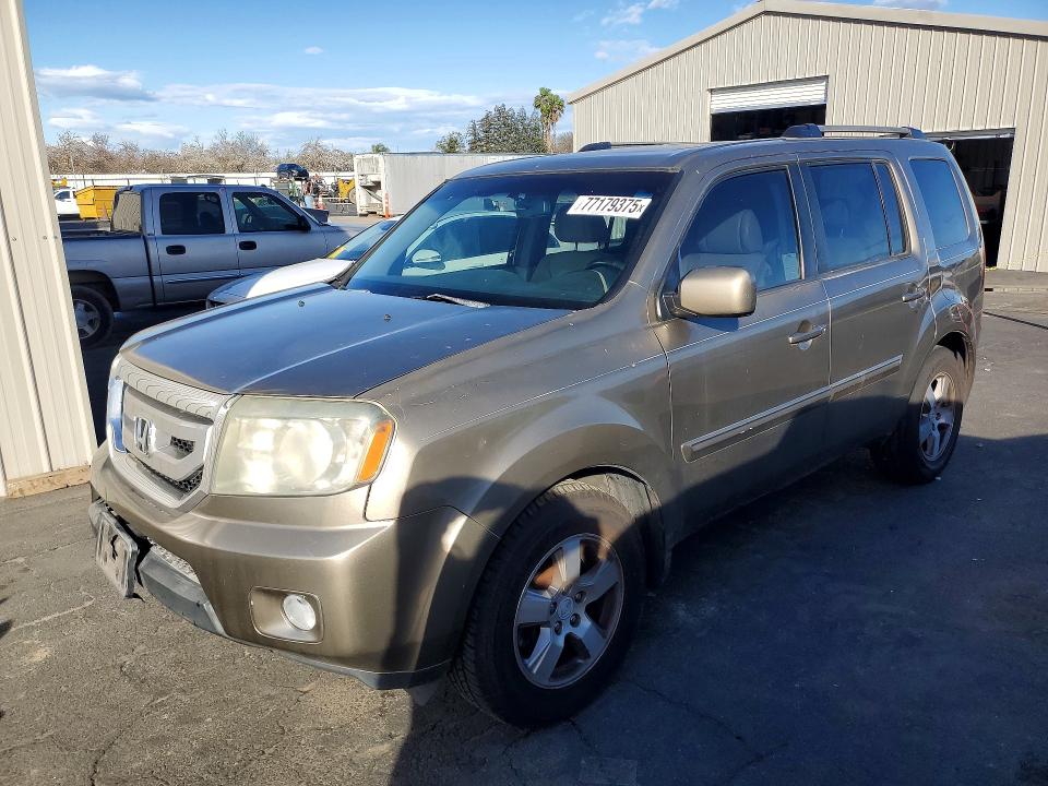 HONDA PILOT EXL 2010 with VIN 5FNYF3H55AB019505 - Photo from auction