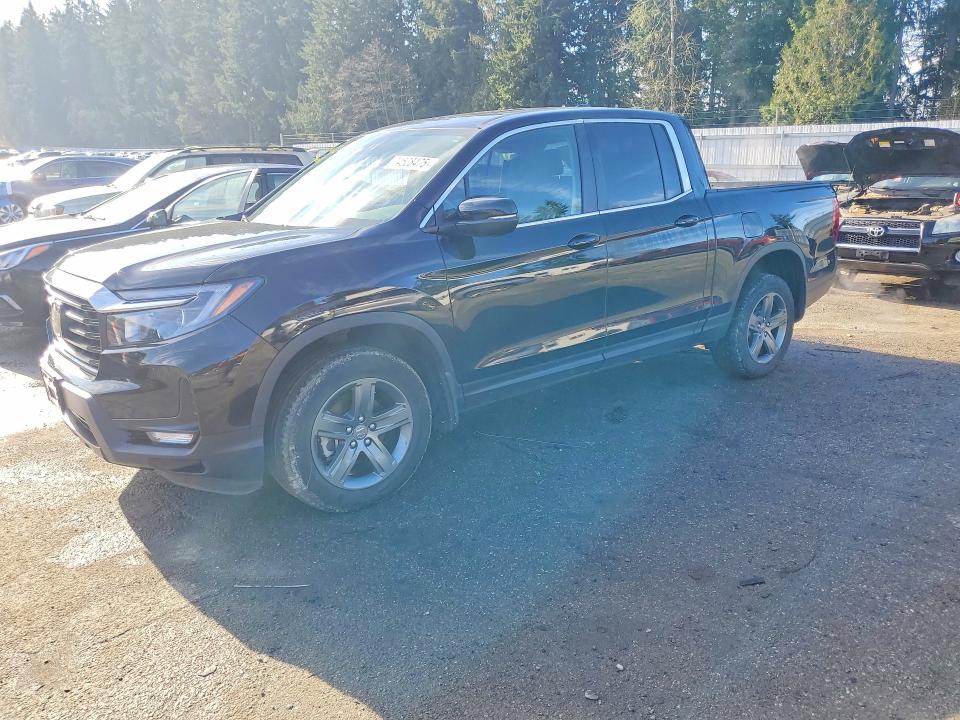 HONDA RIDGELINE 2023 with VIN 5FPYK3F50PB039160 - Photo from auction