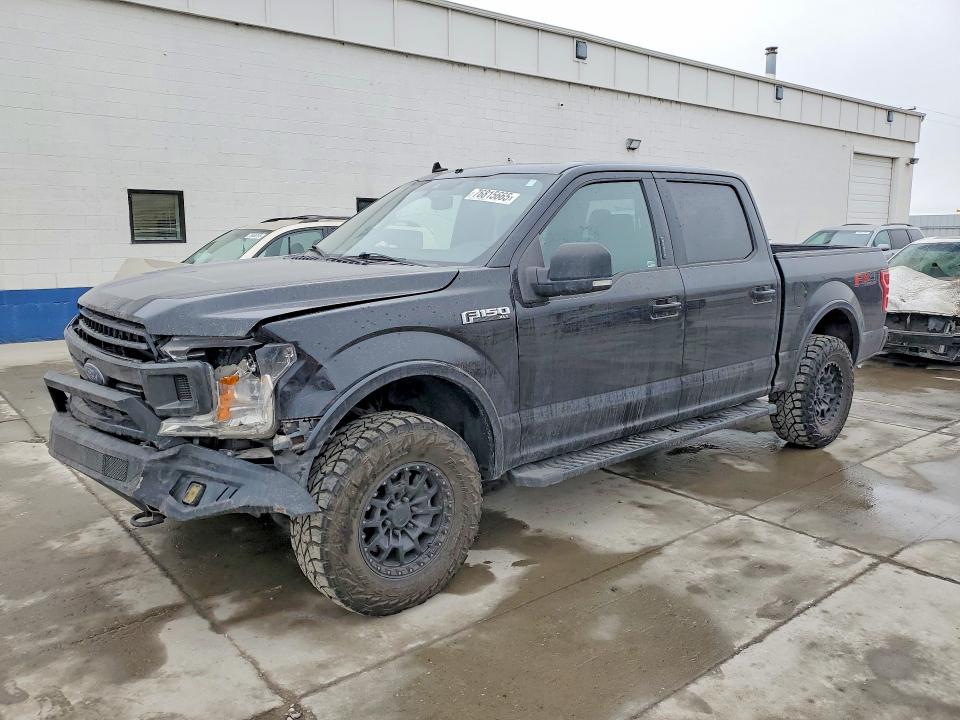FORD F150 2019 with VIN 1FTEW1E49KKE54454 - Photo from auction