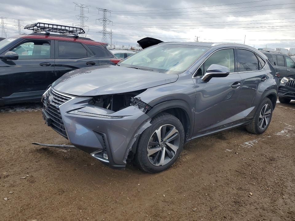 LEXUS NX 300 BAS 2019 with VIN JTJBARBZ9K2193288 - Photo from auction