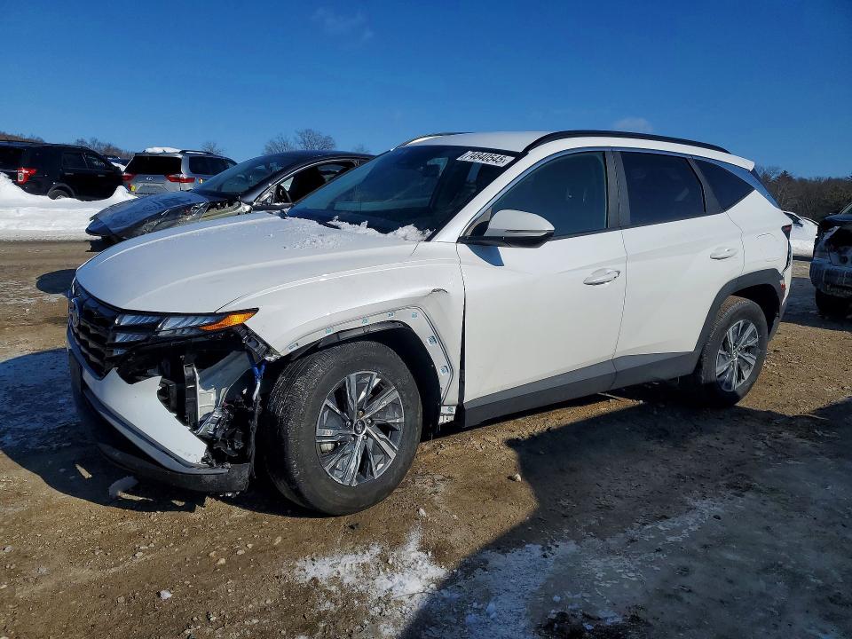 HYUNDAI TUCSON BLU 2022 with VIN KM8JBCA10NU025371 - Photo from auction