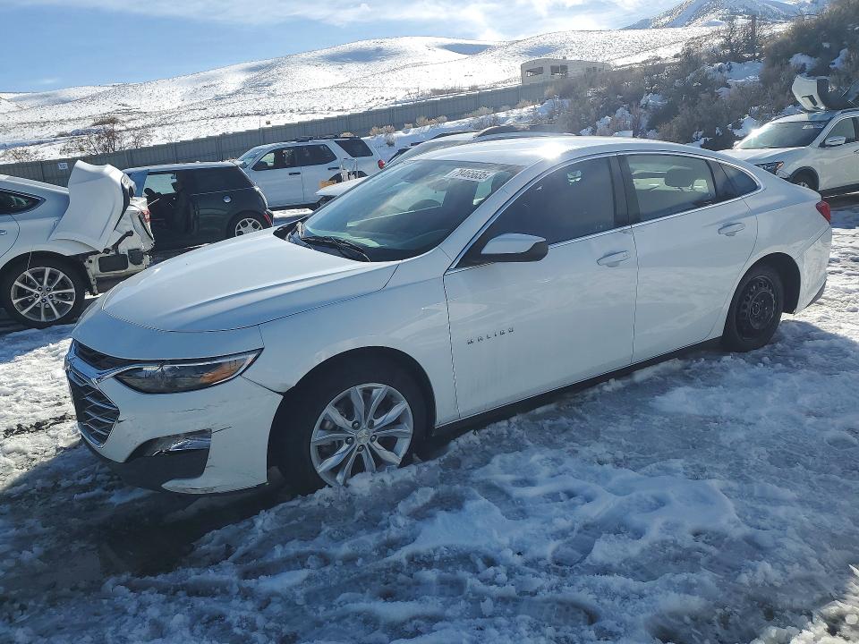 CHEVROLET MALIBU 2023 with VIN 1G1ZD5ST9PF178117 - Photo from auction