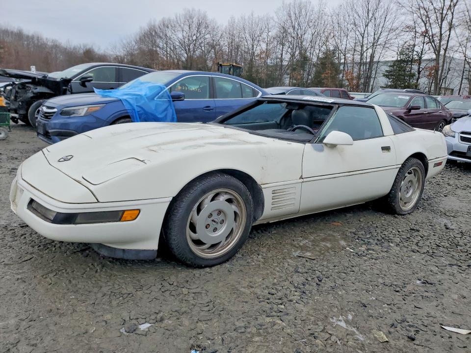 CHEVROLET CORVETTE 1991 with VIN 1G1YY2388M5102575 - Photo from auction