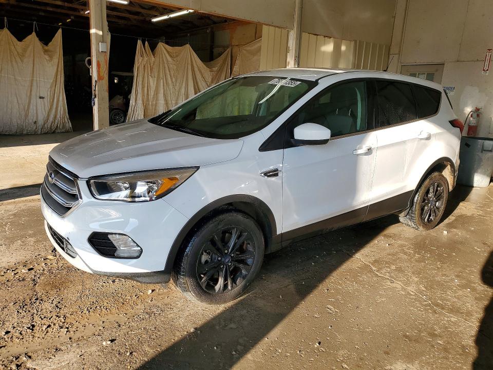FORD ESCAPE 2019 with VIN 1FMCU9GD7KUB14258 - Photo from auction