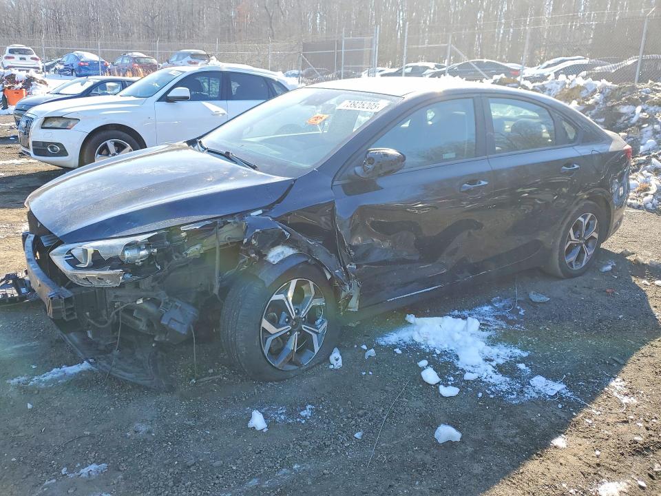 KIA FORTE 2019 with VIN 3KPF24AD5KE081584 - Photo from auction