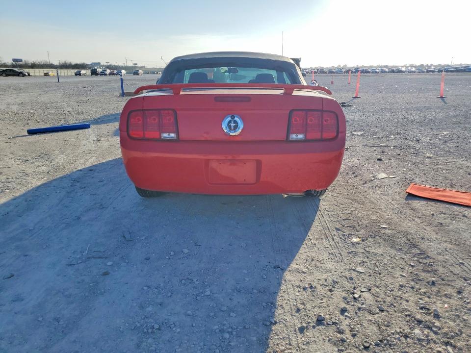 Photo 6 from auction – 2005 FORD MUSTANG with VIN 1ZVFT84N355219208