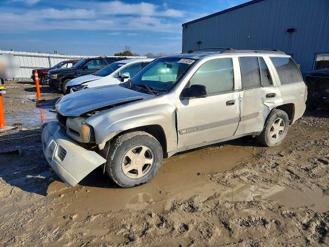 CHEVROLET TRAILBLAZER 2004 with VIN 1GNDT13S742307324 - Photo from auction
