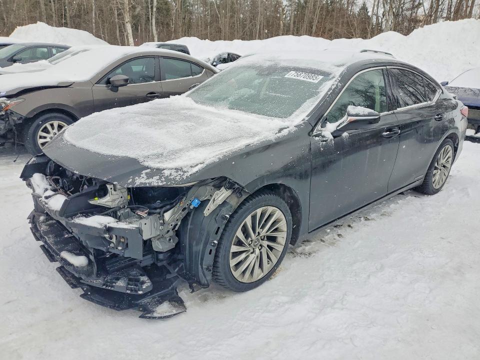 LEXUS ES 2019 with VIN JTHB21B10K2011147 - Photo from auction