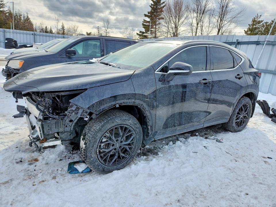 2025 LEXUS NX