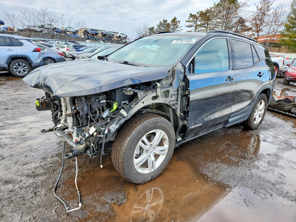 GMC TERRAIN SL 2019 with VIN 3GKALTEV2KL119051 - Photo from auction