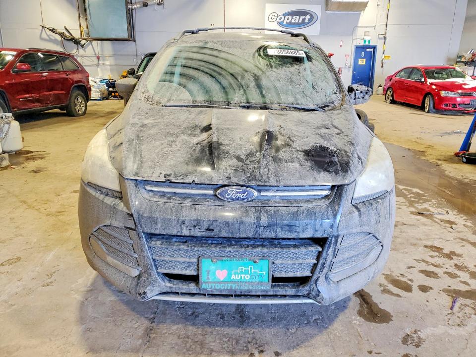 Photo 5 from auction – 2013 FORD ESCAPE with VIN 1FMCU0GX2DUD81557