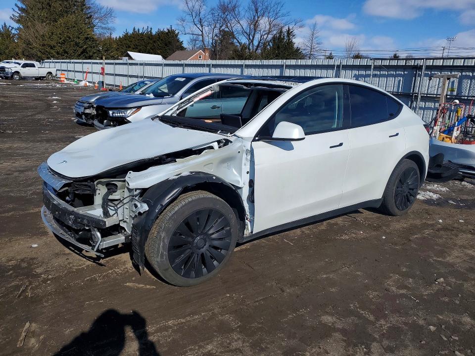 TESLA MODEL Y 2025 with VIN 7SAYGDED7SF260310 - Photo from auction