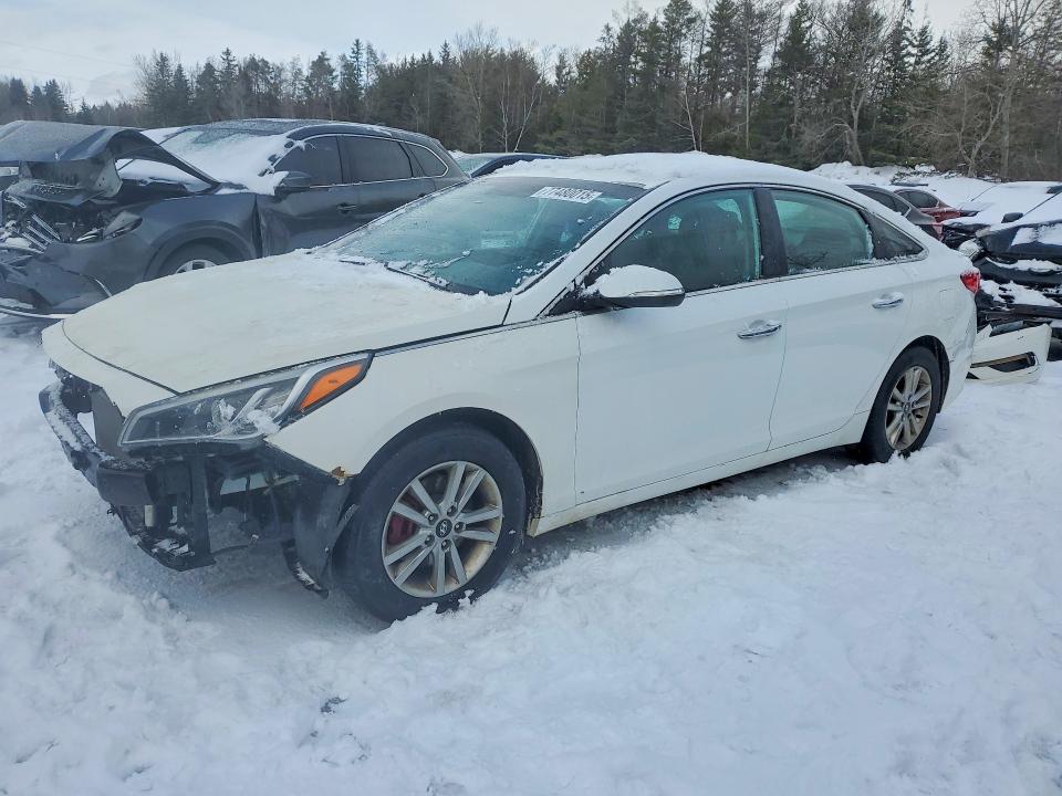 HYUNDAI SONATA 2016 with VIN 5NPE24AF2GH293729 - Photo from auction