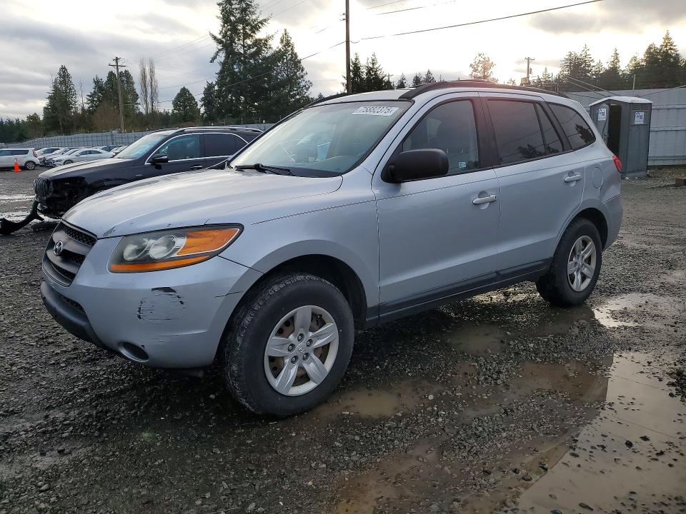 HYUNDAI SANTA FE 2009 with VIN 5NMSG73D89H288519 - Photo from auction