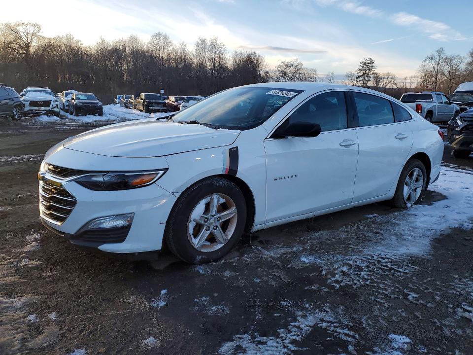 CHEVROLET MALIBU 2019 with VIN 1G1ZB5ST2KF217595 - Photo from auction