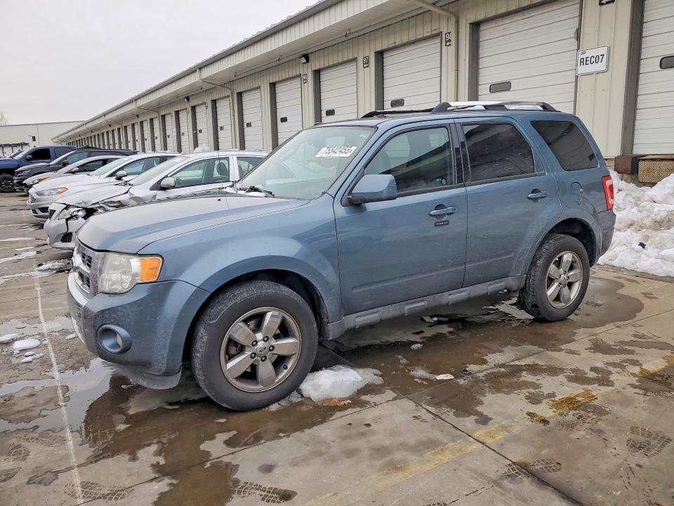 FORD ESCAPE LIM 2010 with VIN 1FMCU9EG1AKD44899 - Photo from auction