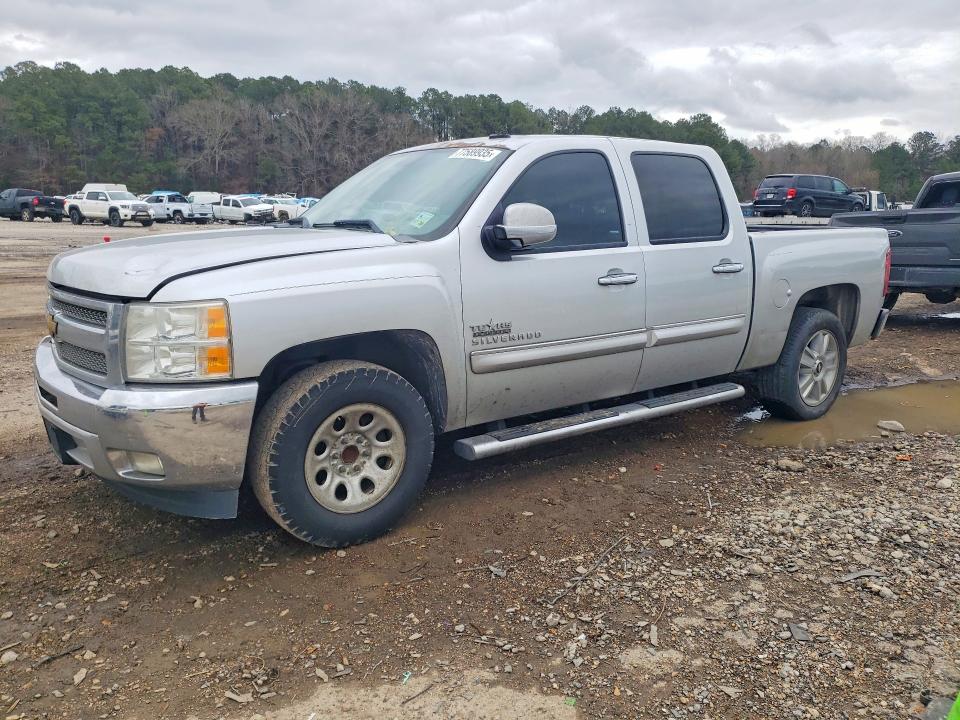 CHEVROLET SILVERADO 2013 with VIN 3GCPCSE06DG372325 - Photo from auction