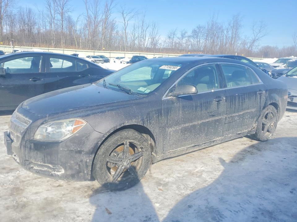 CHEVROLET MALIBU LS 2011 with VIN 1G1ZB5E13BF168191 - Photo from auction