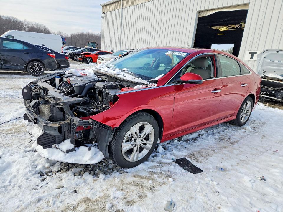 HYUNDAI SONATA 2019 with VIN 5NPE34AFXKH818106 - Photo from auction