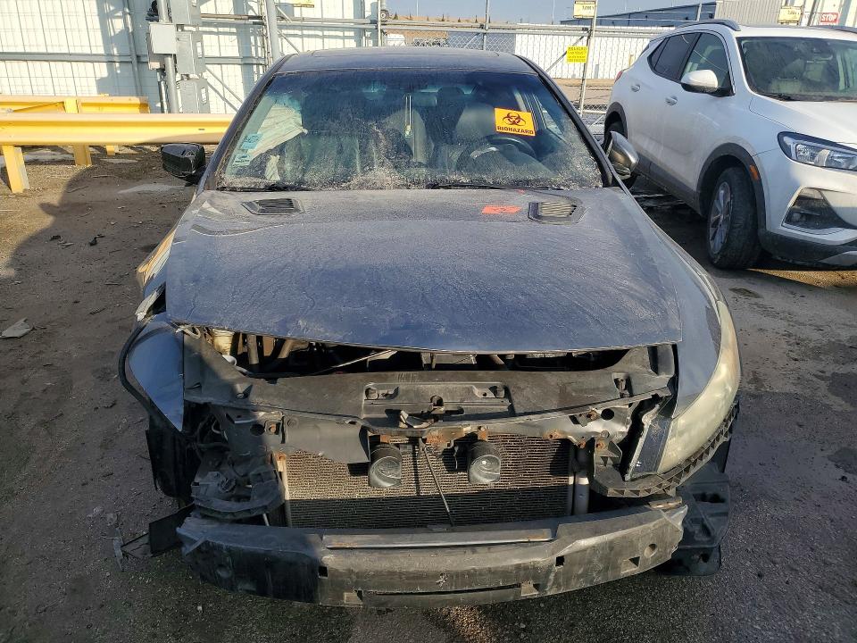 Photo 5 from auction – 2008 HONDA ACCORD EXL with VIN 1HGCS12898A020934