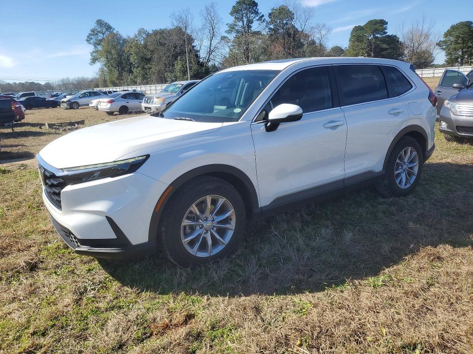 HONDA CR-V EXL 2024 with VIN 2HKRS3H76RH320492 - Photo from auction