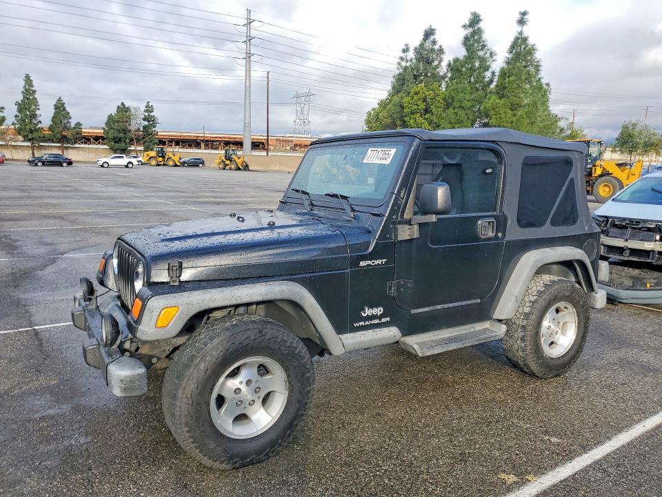 JEEP WRANGLER / 2003 with VIN 1J4FA49S93P336867 - Photo from auction