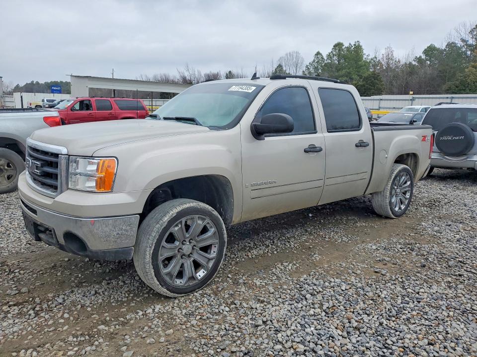 GMC SIERRA 2009 with VIN 3GTEK233X9G149493 - Photo from auction