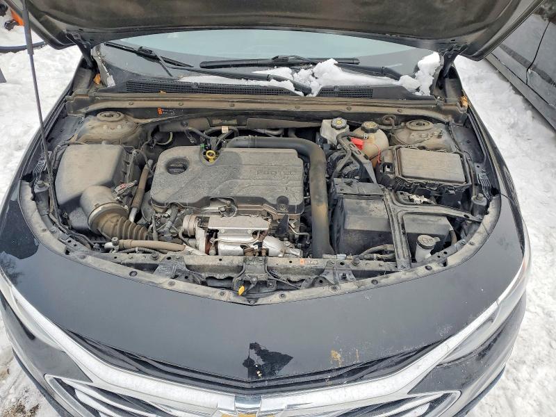 Photo 11 from auction – 2023 CHEVROLET MALIBU with VIN 1G1ZD5ST7PF137436