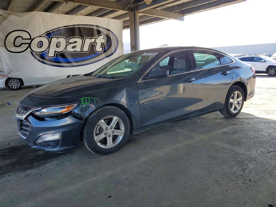 CHEVROLET MALIBU 2019 with VIN 1G1ZB5ST0KF119861 - Photo from auction