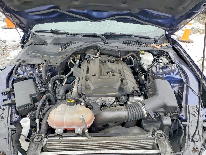 Photo 11 from auction – 2019 FORD MUSTANG with VIN 1FA6P8TH3K5199210