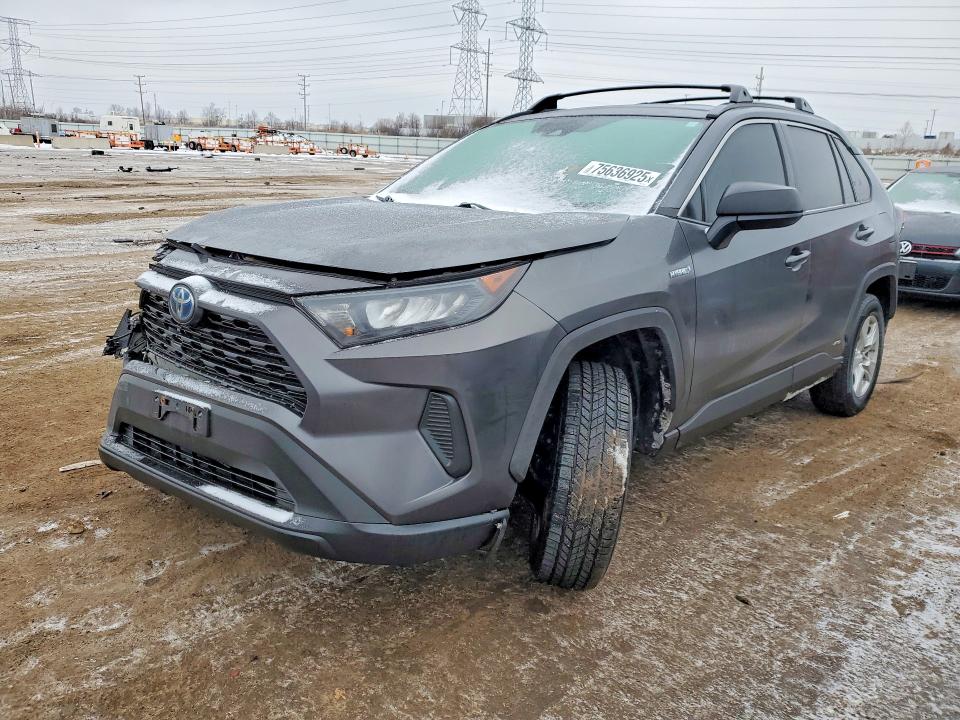 TOYOTA RAV4 LE 2019 with VIN 2T3LWRFV8KW019199 - Photo from auction