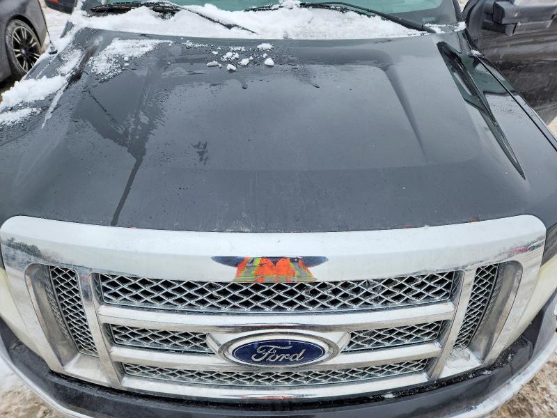 Photo 11 from auction – 2010 FORD F150 with VIN 1FTFW1EV5AFA05163