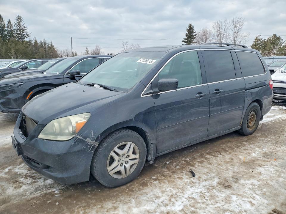 HONDA ODYSSEY 2007 with VIN 5FNRL38657B506668 - Photo from auction