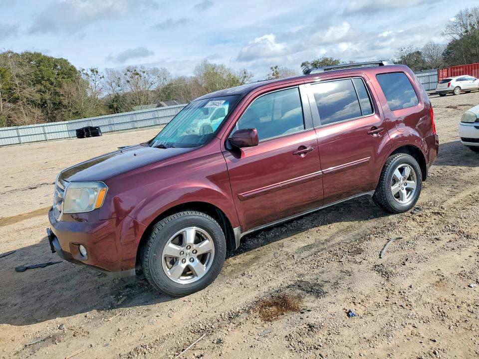 HONDA PILOT EXL 2009 with VIN 5FNYF38639B006482 - Photo from auction