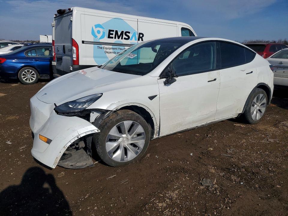 TESLA MODEL Y 2023 with VIN 7SAYGDEE2PA048430 - Photo from auction