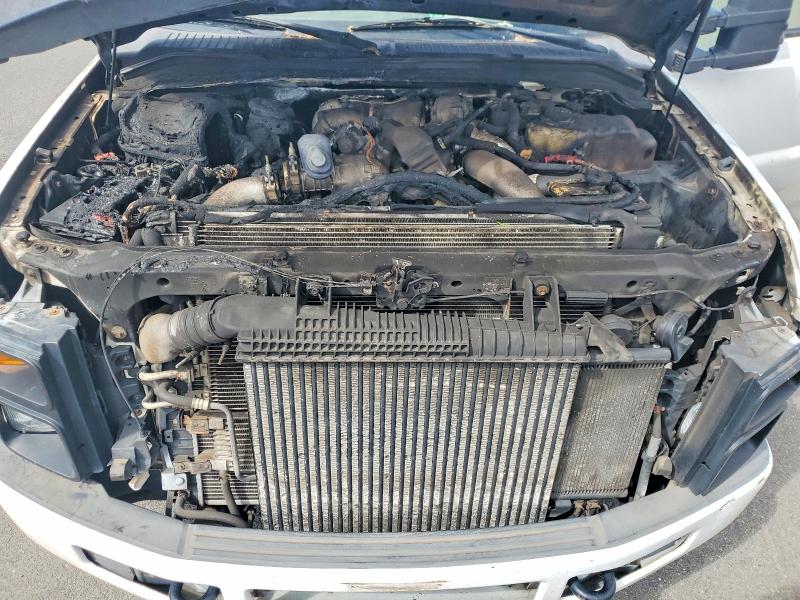 Photo 11 from auction – 2008 FORD F250 with VIN 1FTSF20R98ED58097