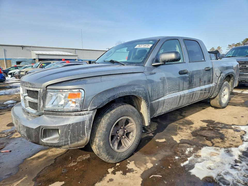 DODGE DAKOTA QUA 2008 with VIN 1D7HW48N48S546024 - Photo from auction