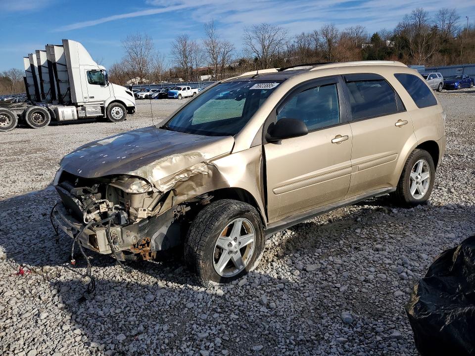 CHEVROLET EQUINOX LT 2005 with VIN 2CNDL73F556131694 - Photo from auction