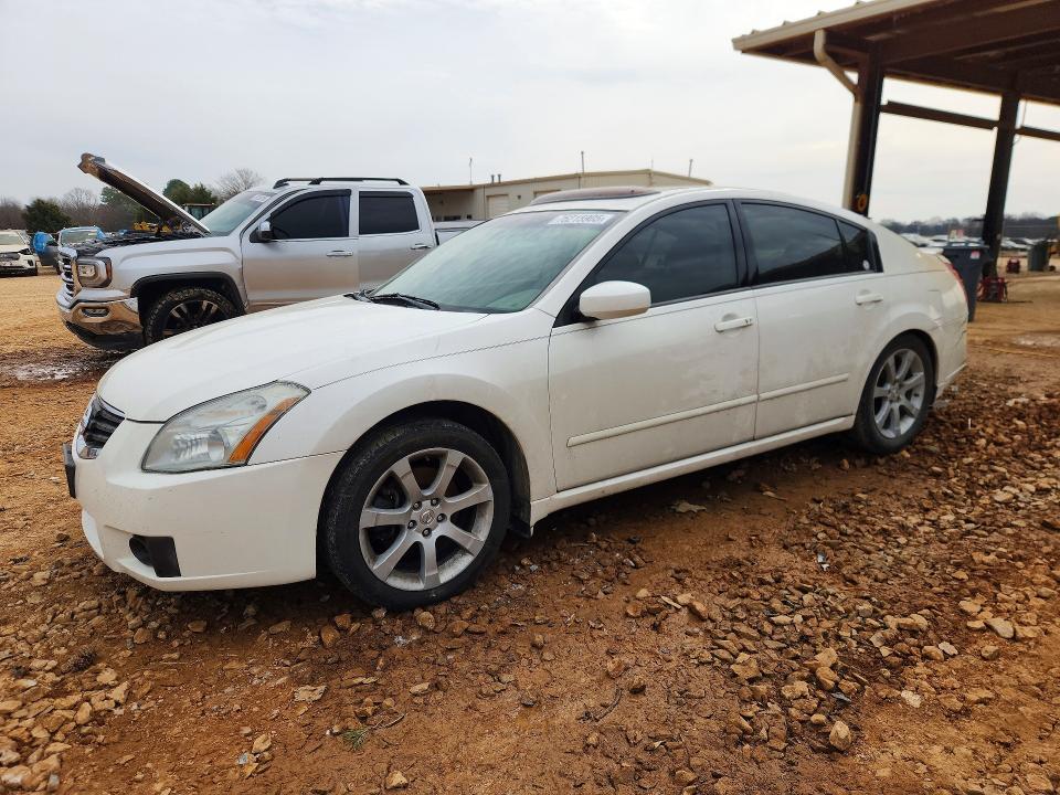 NISSAN MAXIMA 2007 with VIN 1N4BA41E37C862067 - Photo from auction
