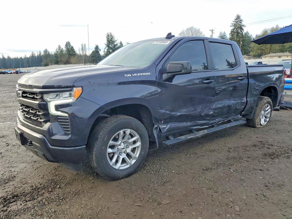 CHEVROLET SILVERADO 2022 with VIN 2GCUDEED5N1504912 - Photo from auction