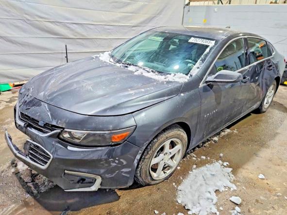 CHEVROLET MALIBU LS 2017 with VIN 1G1ZB5ST1HF251164 - Photo from auction