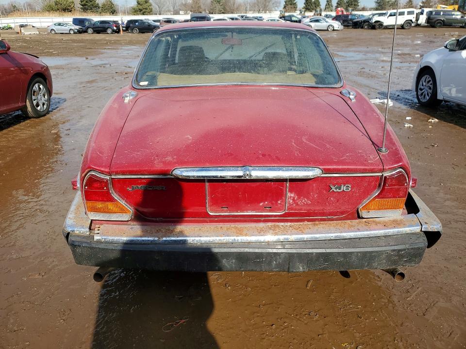 Photo 6 from auction – 1982 JAGUAR XJ6 with VIN SAJAV1240CC344475
