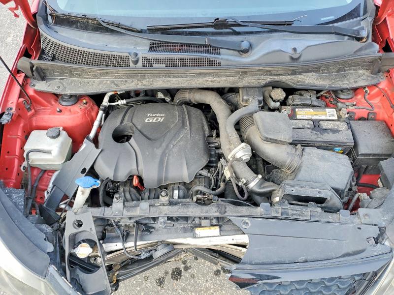 Photo 12 from auction – 2013 KIA SPORTAGE with VIN KNDPC3A65D7350652