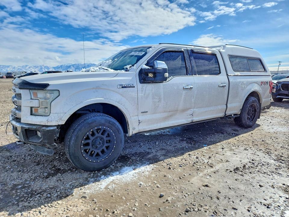 FORD F150 2016 with VIN 1FTFW1EG8GFA13462 - Photo from auction