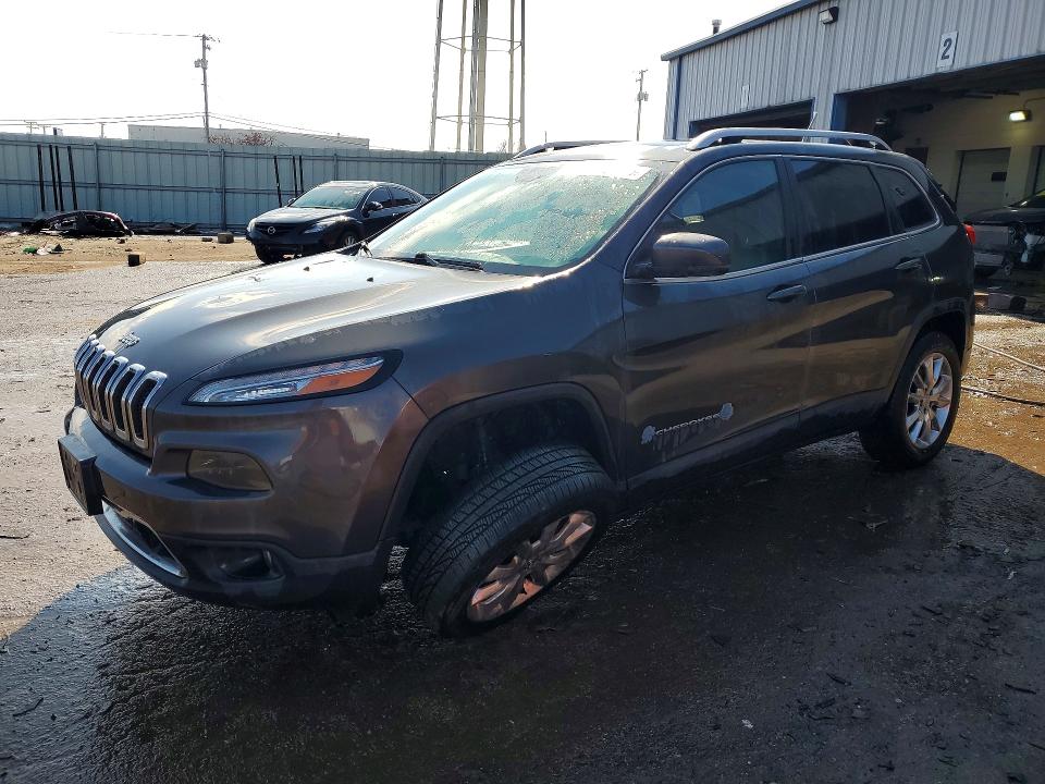 JEEP CHEROKEE 2014 with VIN 1C4PJMDS2EW282869 - Photo from auction