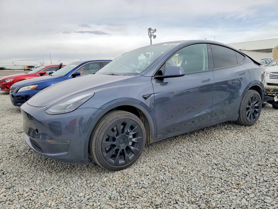 TESLA MODEL Y 2023 with VIN 7SAYGDEE5PA204735 - Photo from auction