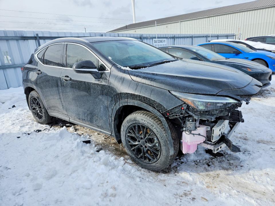 Photo 4 from auction – 2025 LEXUS NX with VIN 2T2GKCEZ6SC050066