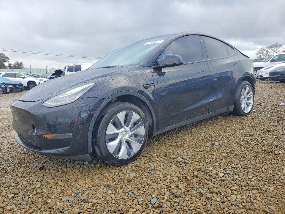 TESLA MODEL Y 2023 with VIN 7SAYGDEE3PA082702 - Photo from auction