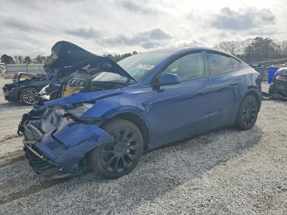 TESLA MODEL Y 2024 with VIN 7SAYGDED7RA335501 - Photo from auction
